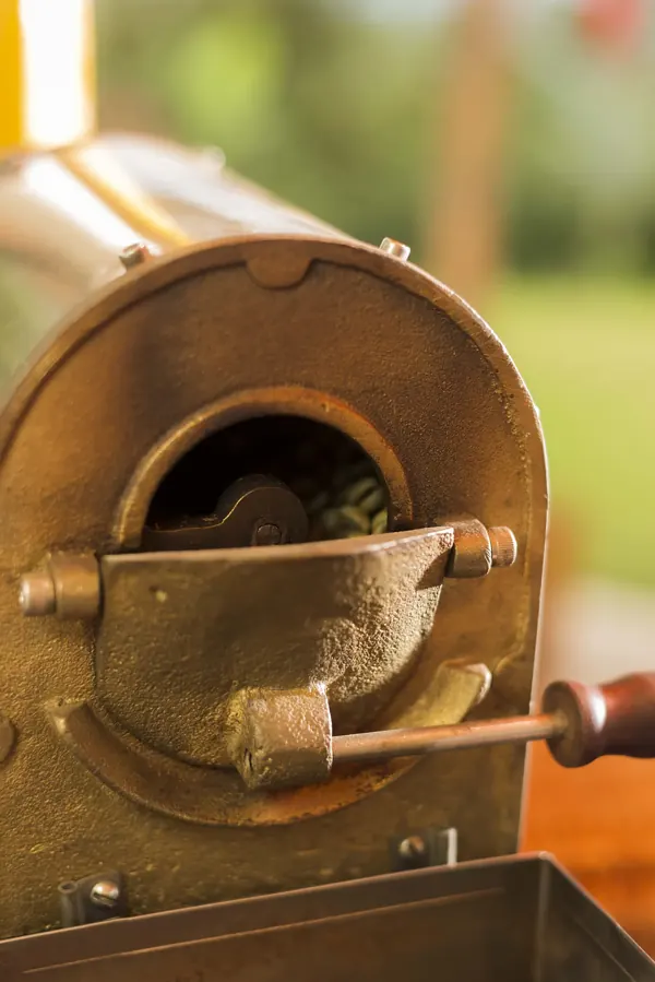 Traditional roaster