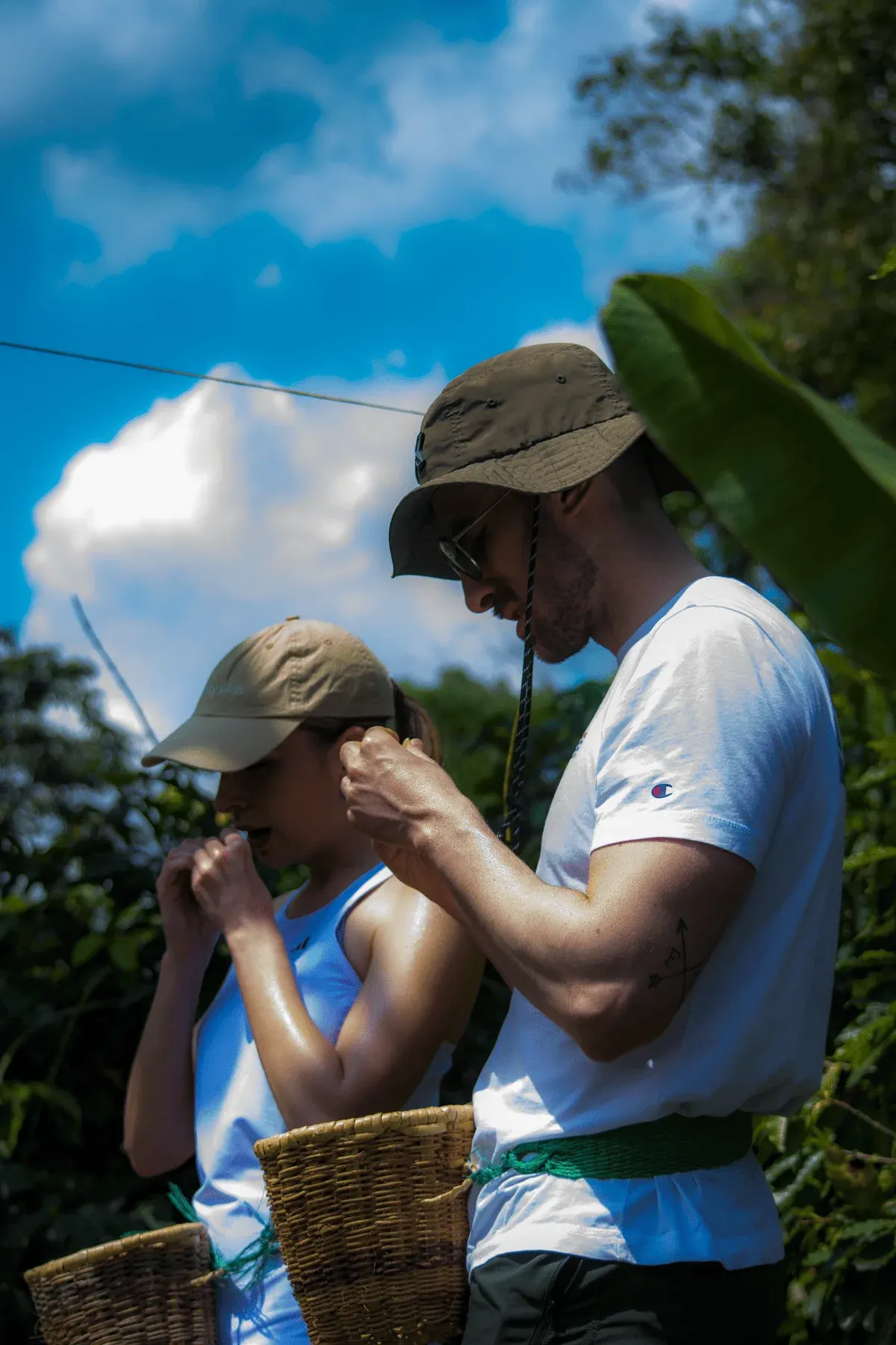 Visitors smelling coffee in the field